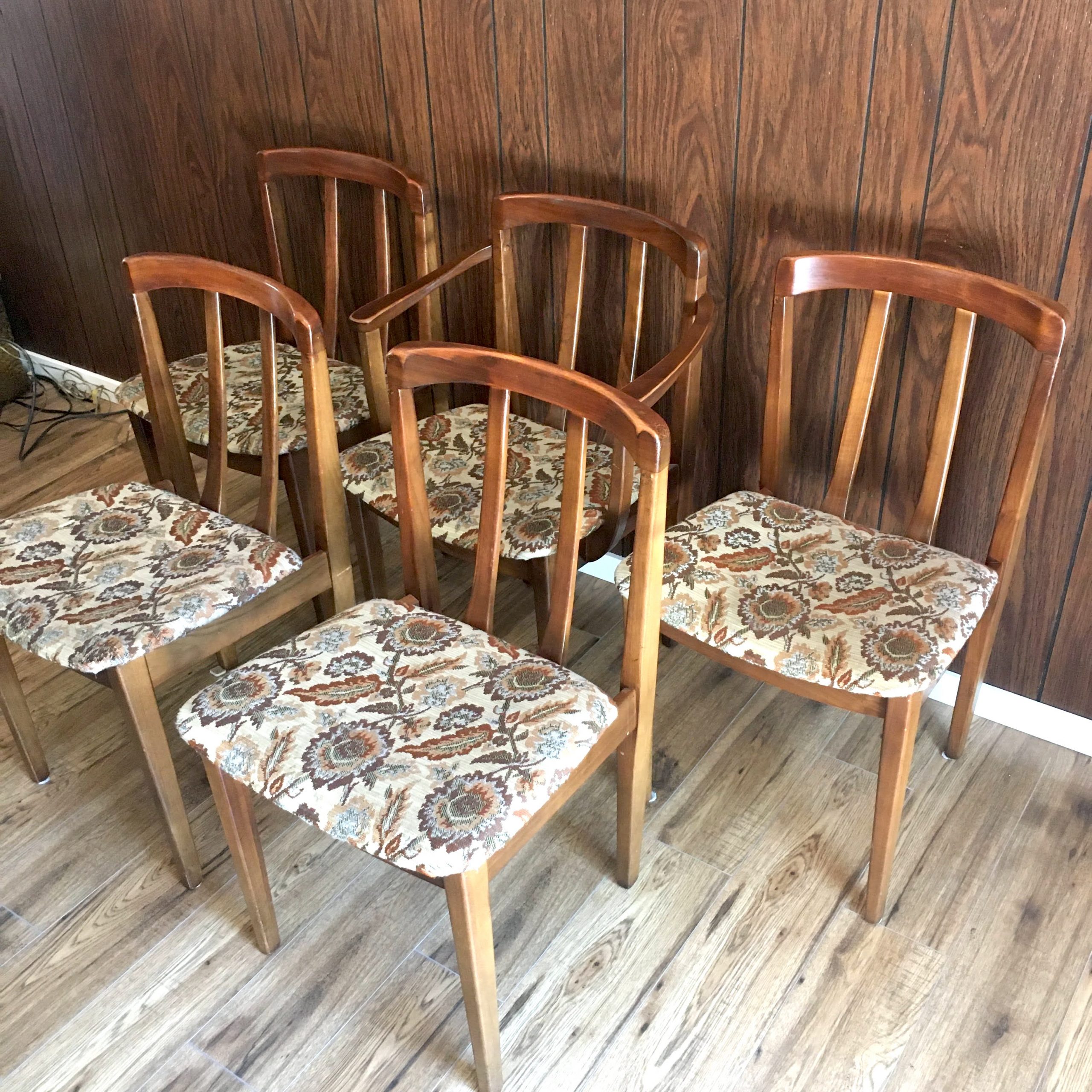 Honderich Walnut Dining Chairs (set of 5) hausmodern